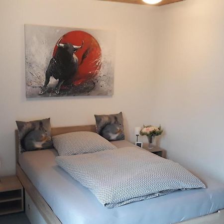 1 Zimmer Appartment Springe Eksteriør billede